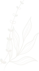 leaf shape 4